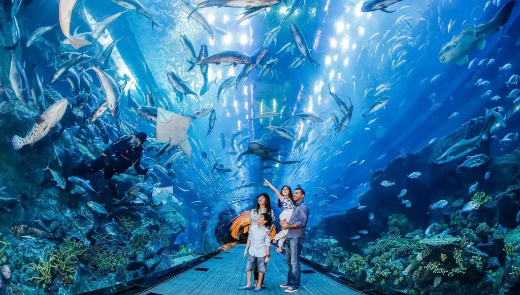 dxapz9yem7piizhj79mi-scaled