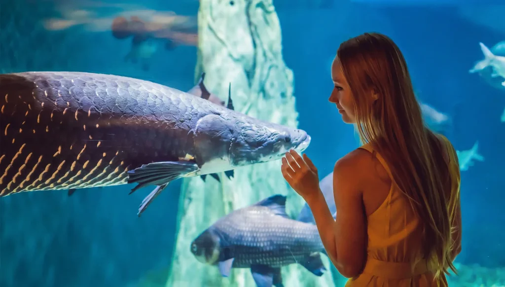 o5w2d6p899jol4nkvyjy-scaled