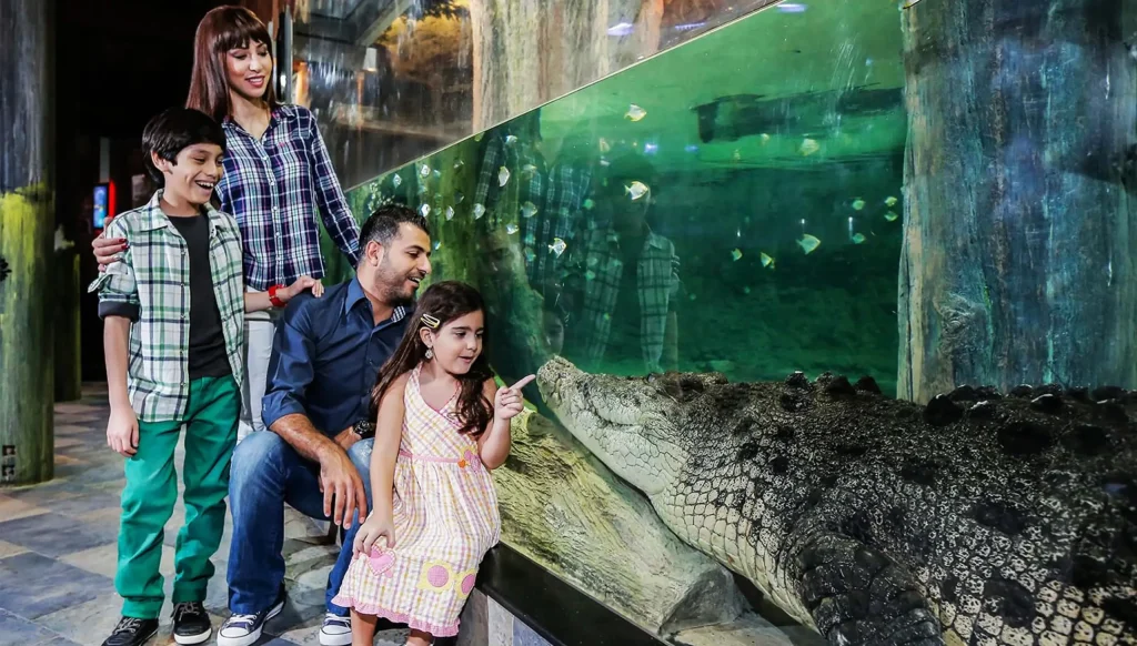 ybh0gqzgkekbxfrpxjt2-scaled